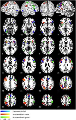 Neural Systems Underlying Emotional and Non-emotional Interference Processing: An ALE Meta-Analysis of Functional Neuroimaging Studies